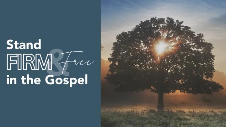 Stand Firm & Free in the Gospel series artwork